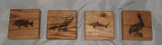 Gulf Creatures Coasters 0125